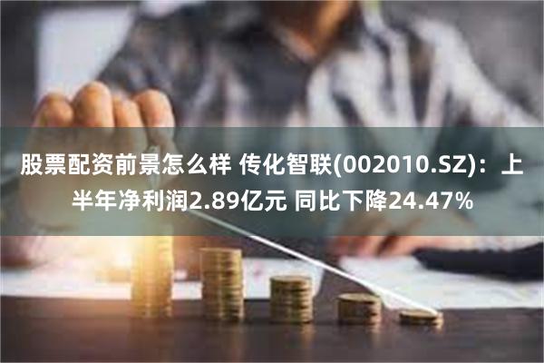 股票配资前景怎么样 传化智联(002010.SZ)：上半年净利润2.89亿元 同比下降24.47%