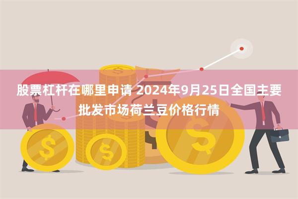 股票杠杆在哪里申请 2024年9月25日全国主要批发市场荷兰豆价格行情