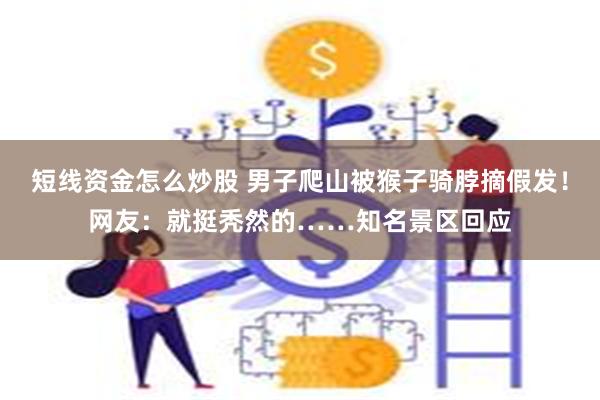 短线资金怎么炒股 男子爬山被猴子骑脖摘假发！网友：就挺秃然的……知名景区回应