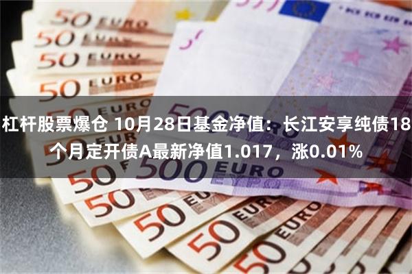 杠杆股票爆仓 10月28日基金净值：长江安享纯债18个月定开债A最新净值1.017，涨0.01%