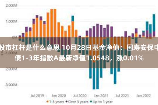 股市杠杆是什么意思 10月28日基金净值：国寿安保中债1-3年指数A最新净值1.0548，涨0.01%