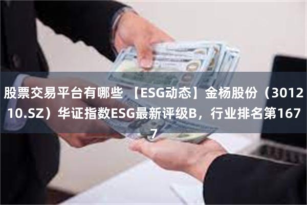 股票交易平台有哪些 【ESG动态】金杨股份（301210.SZ）华证指数ESG最新评级B，行业排名第167