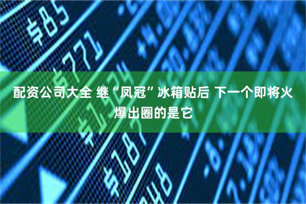 配资公司大全 继“凤冠”冰箱贴后 下一个即将火爆出圈的是它