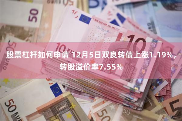 股票杠杆如何申请 12月5日双良转债上涨1.19%，转股溢价率7.55%